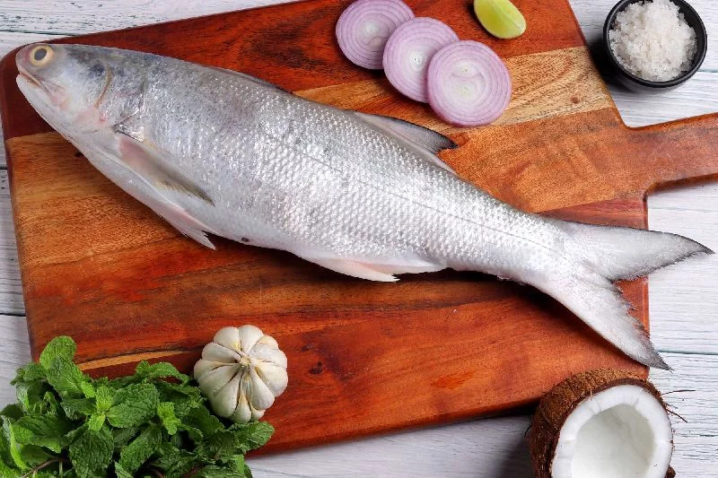 Premium Indian Salmon Bulk Supplier