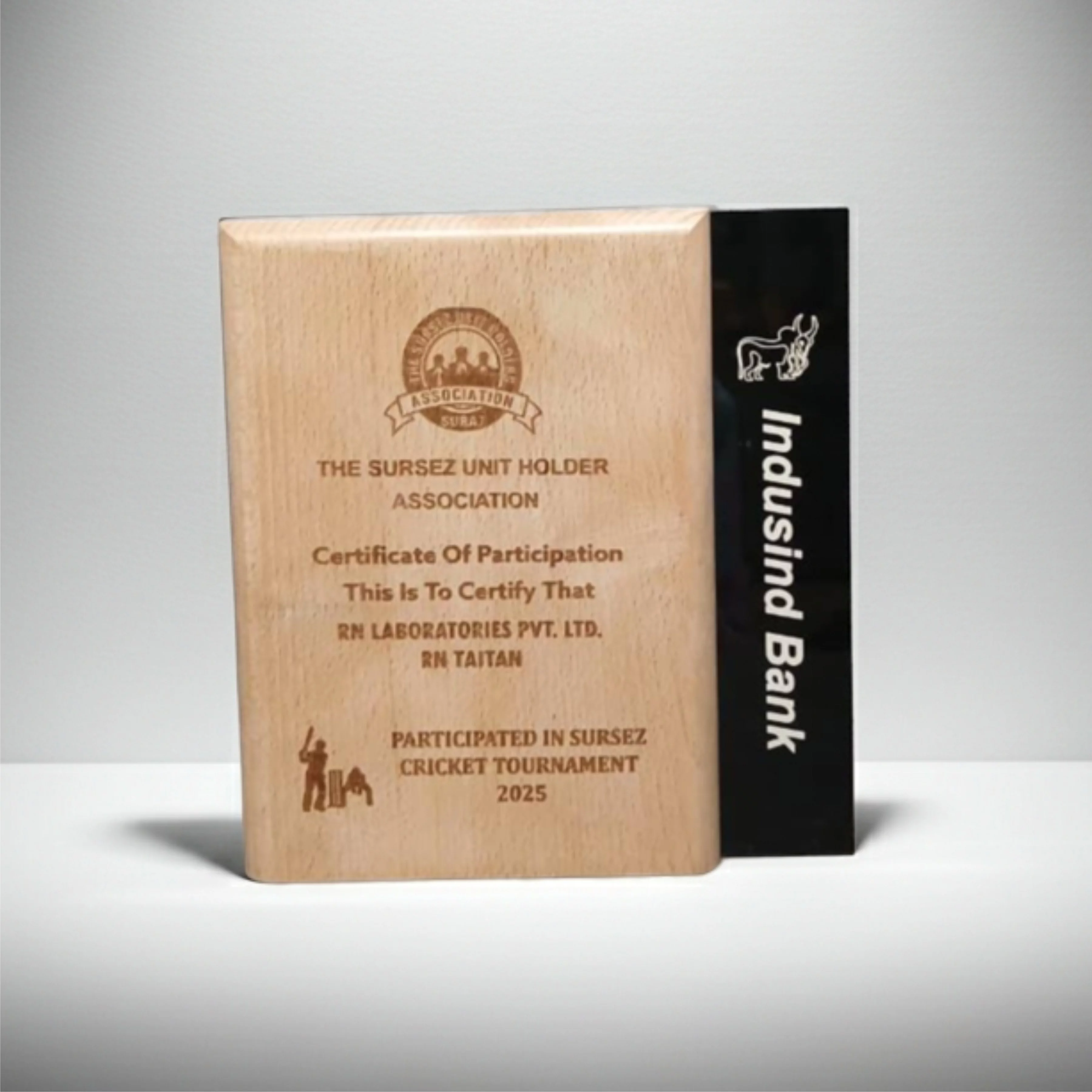 Personalized Star Acrylic & Wooden Trophy Award