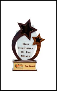 Star Wooden Laser Marking Trophy