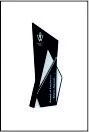 Black Acrylic Award Trophy