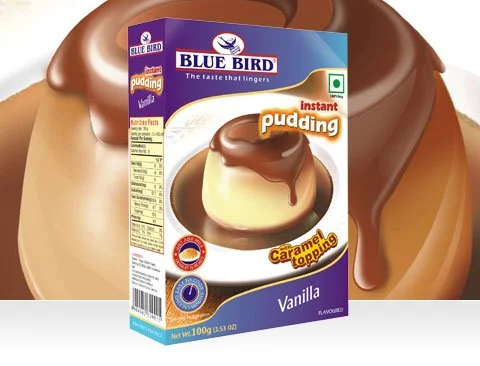 BLUE BIRD INSTANT PUDDING VANILLA 100G Mumbai
