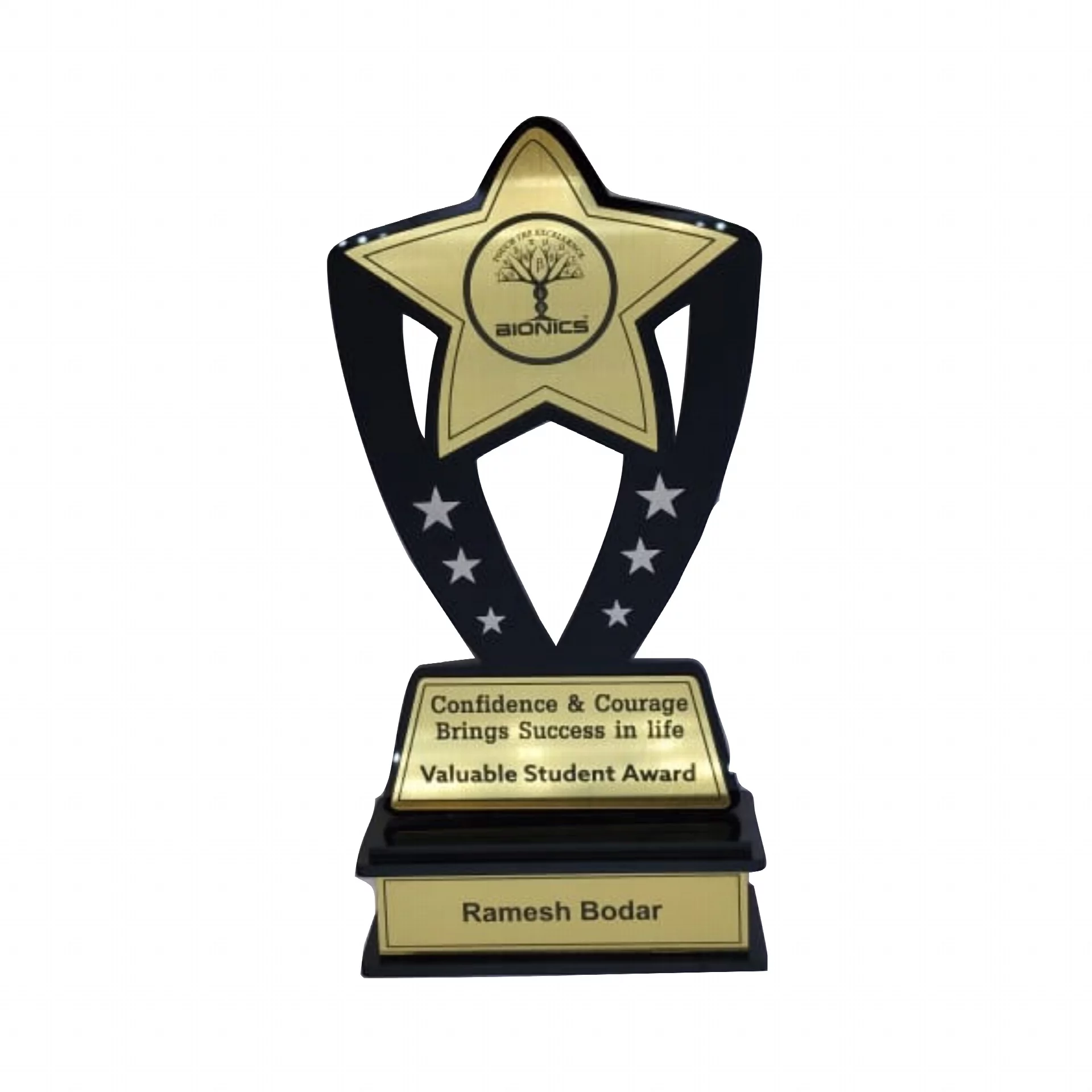 Acrylic Star Trophy Golden Plate Trophy