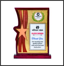 Exclusive Wooden Memento with Stunning Gold & Silver Foil