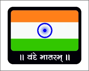 Indian Flag Pin Badge