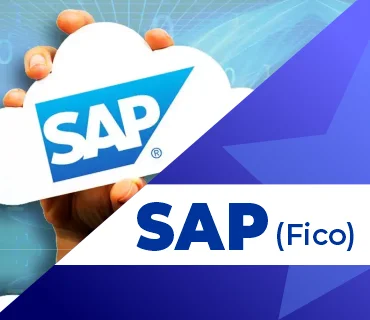 SAP S/4 HANA FINANCE(FICO)