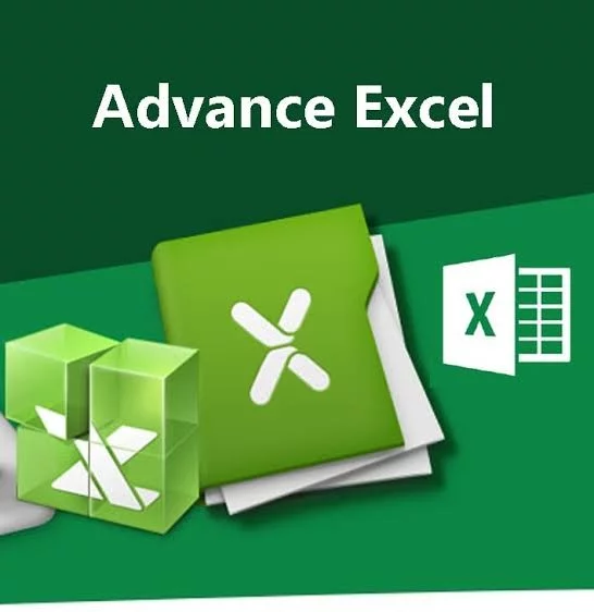 Advance Excel Professional
