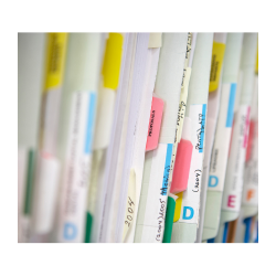 Filing and Organization | Kratik Raghuwanshi | NAGAR PALIKA SEONI MALWA