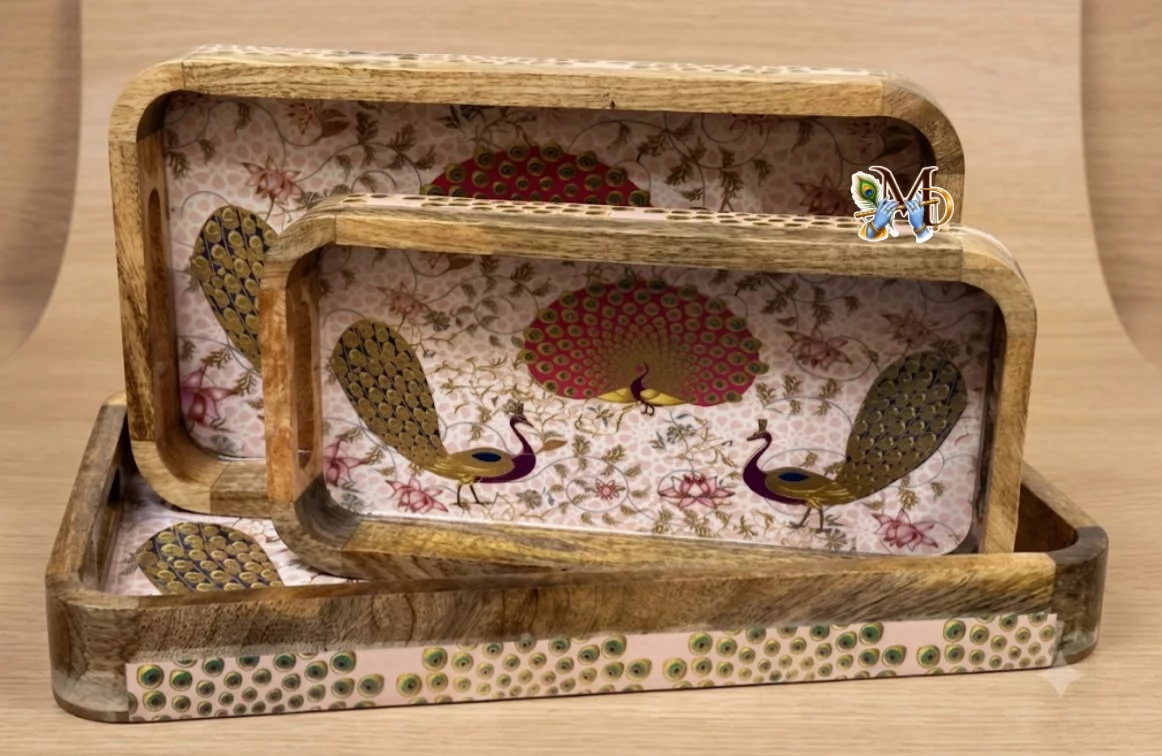 Set of 2 Heavy Trays