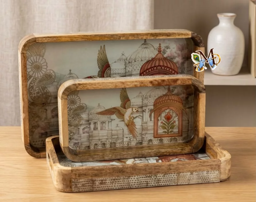 Set of 2 Heavy Trays