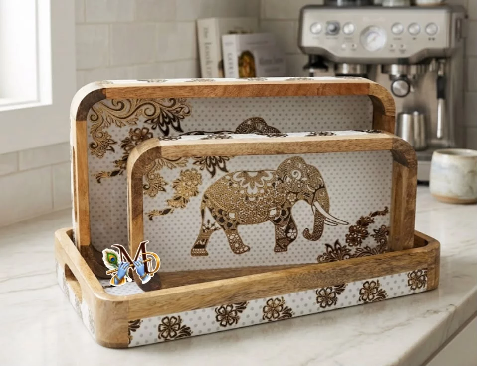 Set of 2 Heavy Trays