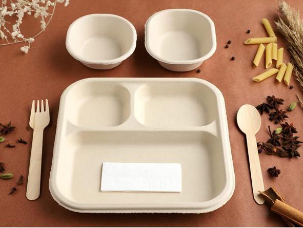 Bagasse/ Pulp moulded product Thermo9 Industries Factory-256, Sector E, Sanwer Road Industrial Area,