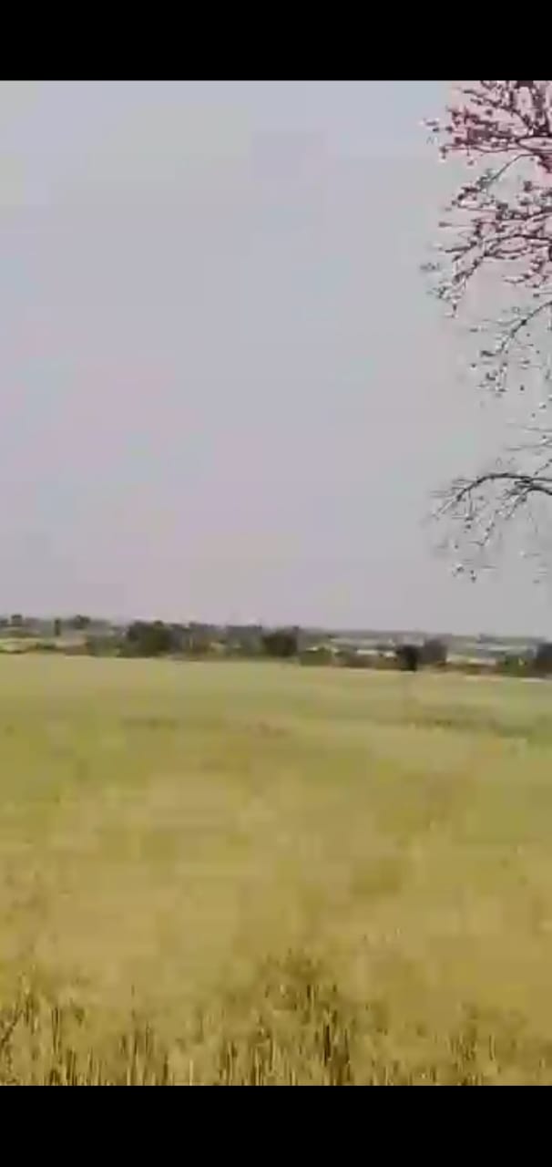 Gourav Properties Lend Gourav Properties Gram - Chandu Khedi Badnagar Ujjain