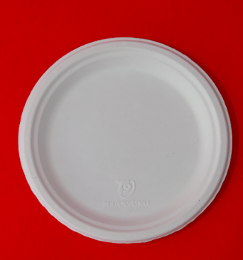 Round plates sugarcane biodegradable Thermo9 Industries Factory-256, Sector E, Sanwer Road Industrial Area,