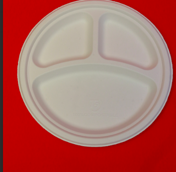 3 compartment plates (10 inches) Thermo9 Industries Factory-256, Sector E, Sanwer Road Industrial Area,