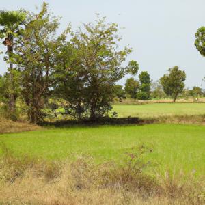Gourav Properties Gourav Properties Gram - Chandu Khedi Badnagar Ujjain