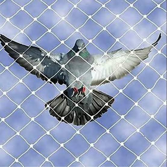 Best Bird Netting Service in Jaipur-https://i-media.vyaparify.com/vcards/products/36001/images-(1)-(2).jpeg Image