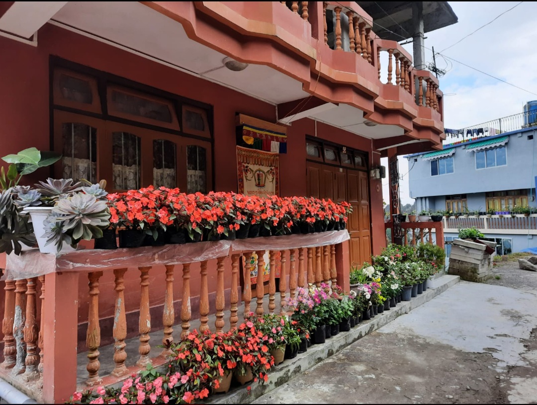Alpine Rimbick Homestay-https://i-media.vyaparify.com/vcards/products/36981/1000238633.jpg Image