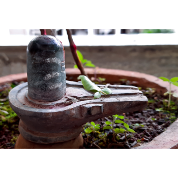 Sfatik shivling-https://i-media.vyaparify.com/vcards/products/41717/product_1715158601.png Image