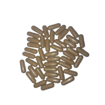 Prostate (BHP)-https://i-media.vyaparify.com/vcards/products/44728/product_1716807263.png Image