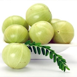 Fresh Amla-https://i-media.vyaparify.com/vcards/products/4672/amla.jpg Image
