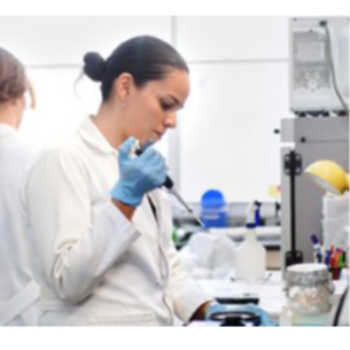 Other Elementary Subjects-https://i-media.vyaparify.com/vcards/products/47053/product_1718033790.png Image