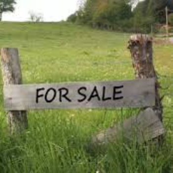 Land Deals | MADNI PROPERTY BROKER | 92,village Kadwa, Tehsil Sanwer