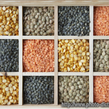 Pulses | SHREE VINAYAK KIRANA | Sanwer Road Sukliya Choraha 54/4 Ganesh Dham Colony