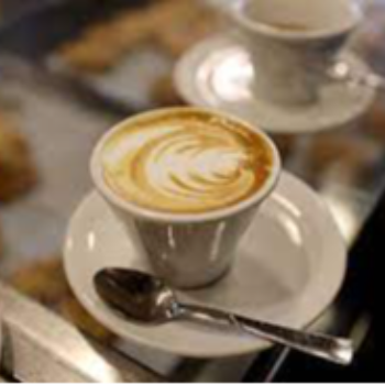 Cappuccino The Daily Roast UNIT NO - 1207 SKYE CORPORATE PARK P NO - 25 SCHEME NO - 78 - 2, Above Tata Motors, Sector B, Slice 5, Aranya Nagar, Scheme 78, Vijay Nagar, Indore, Madhya Pradesh 452010, India