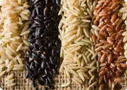 Grains Maa Annpurna Kirana Store 2167 Phoenix Township, Lasudia Mori,