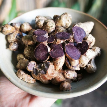 Black Ginger-https://i-media.vyaparify.com/vcards/products/50331/product_1719579082.png Image