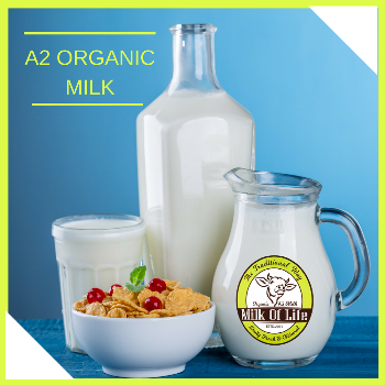 Baula's A2 milk Gavyakunj Organics Shop No 2, Manjari Rd, Opp. Tarabai Park Society, Kodre Nagar, Sasane Colony, Keshav Nagar, Mundhwa