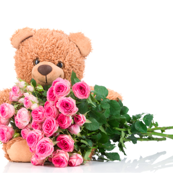 20 Pink Roses & 12 inches Teddy combo-https://i-media.vyaparify.com/vcards/products/51534/product_1720006124.png Image