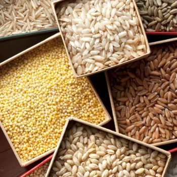 Grains | KESHAV ENTERPRISES | Singapore Green View Premium, Biju Khedi