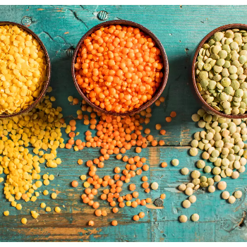 Pulses | KESHAV ENTERPRISES | Singapore Green View Premium, Biju Khedi