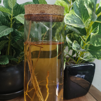 Moroccon Oil Hand Made For Anti HairFall-https://i-media.vyaparify.com/vcards/products/53113/product_1720773610.png Image