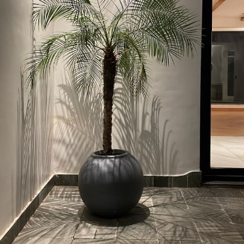 Ball Shaped Planter-https://i-media.vyaparify.com/vcards/products/54789/product_1721462669.png Image