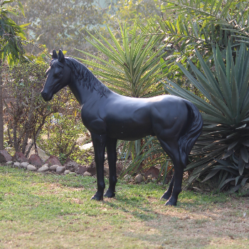 Black Matte Stallion-https://i-media.vyaparify.com/vcards/products/54852/product_1721472744.png Image