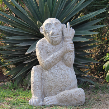 Middle Finger Funky Monkey-https://i-media.vyaparify.com/vcards/products/56715/product_1722334200.png Image