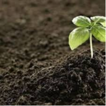 Soil and Fertilizer-https://i-media.vyaparify.com/vcards/products/56831/product_1722342832.png Image