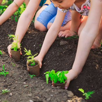 Planting Services-https://i-media.vyaparify.com/vcards/products/56834/product_1722343493.png Image