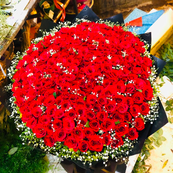 500 red roses bouquet-https://i-media.vyaparify.com/vcards/products/59467/product_1723658763.png Image