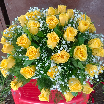 50 yellow roses-https://i-media.vyaparify.com/vcards/products/59472/product_1723659780.png Image