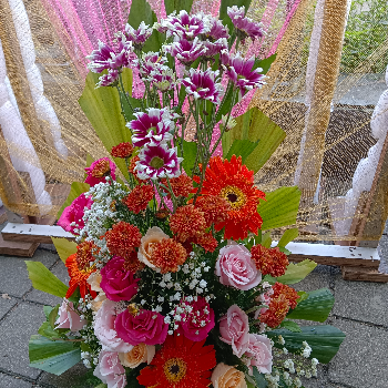 20 mix seasonal mix flowers-https://i-media.vyaparify.com/vcards/products/59486/product_1723712265.png Image