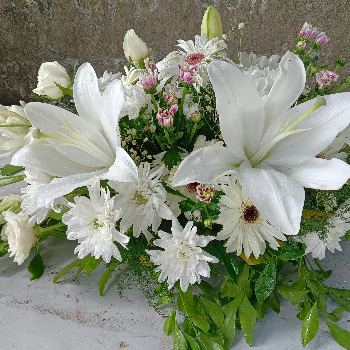 White mix flowers arrangement-https://i-media.vyaparify.com/vcards/products/59493/product_1723724580.png Image