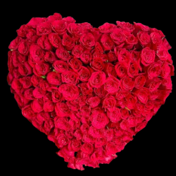 100 red roses heart shape-https://i-media.vyaparify.com/vcards/products/60026/product_1724151821.png Image
