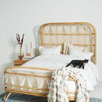 Cane Furniture 07-https://i-media.vyaparify.com/vcards/products/62416/product_1725525923.png Image