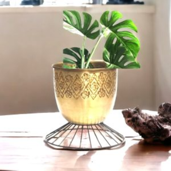 Balcony Metal Pots 2-https://i-media.vyaparify.com/vcards/products/62489/product_1725529010.png Image