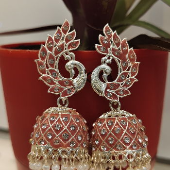 Jhumka Tredisnoal Feelings Near By Gold Gym Behind Bhandari Hospital Vijaynagar Indore