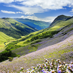 Hill Stations and Valleys Tour Packages-https://i-media.vyaparify.com/vcards/products/6540/hill_station.jpg Image