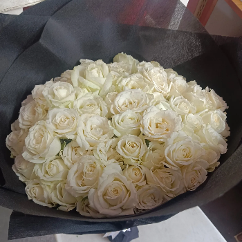 50 white Roses-https://i-media.vyaparify.com/vcards/products/70028/product_1727933599.png Image